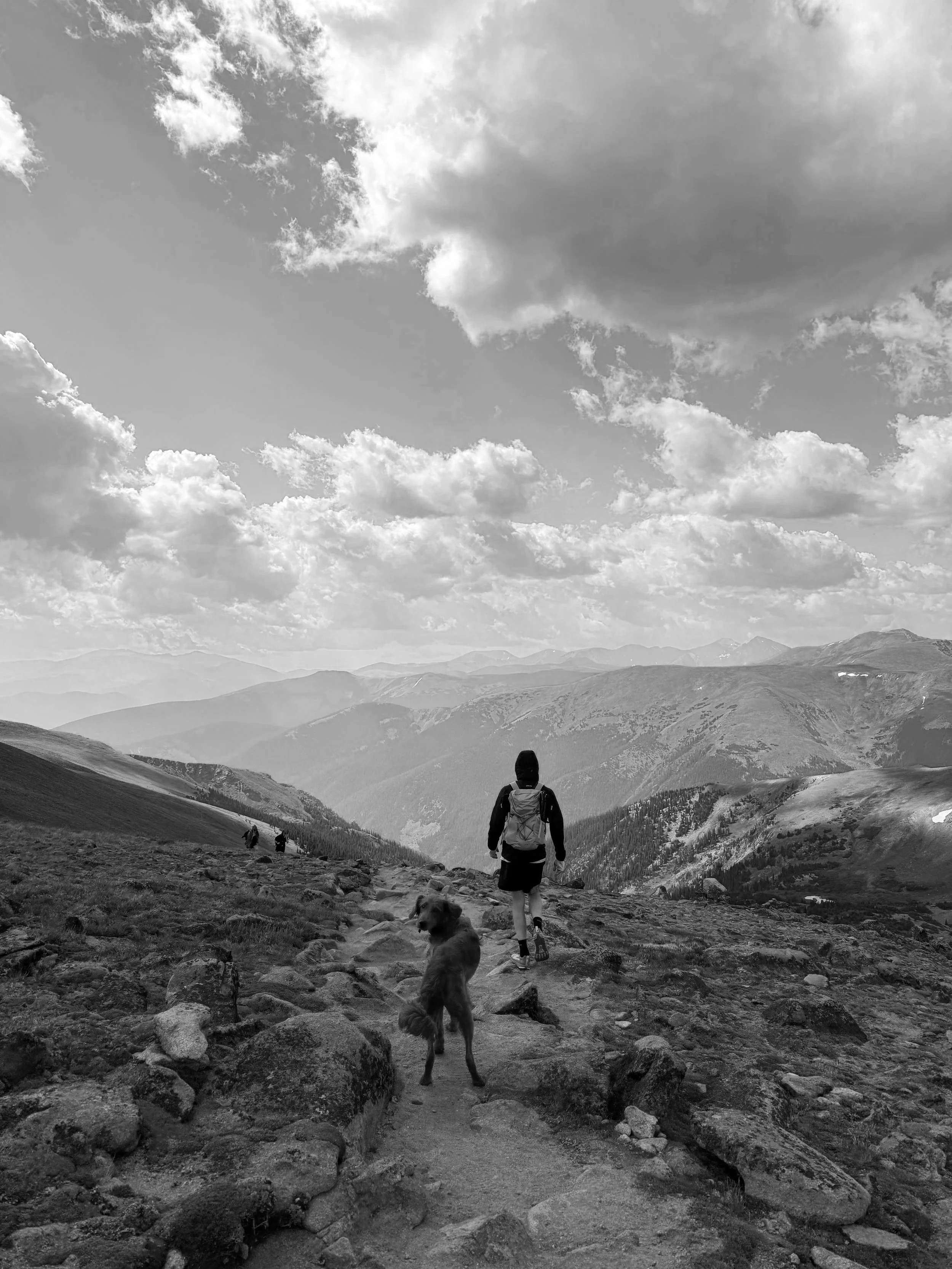 A person hiking on a rocky trail with dogs in a mountainous landscape under a sky with clouds.
