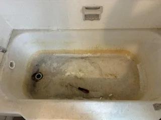 image1.jpeg