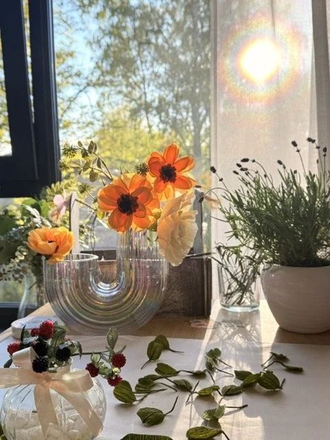 Sunlight streams through a window illuminating a collection of potted plants and flowers on a table, including orange poppies, a white rose, and green foliage.