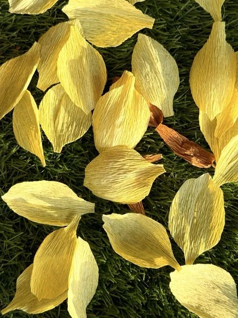 Yellow flower petals scattered on green grass.