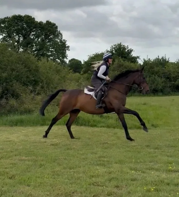 A woman riding a galloping brown horse in an open grassy field with trees and cloudy sky in the background.