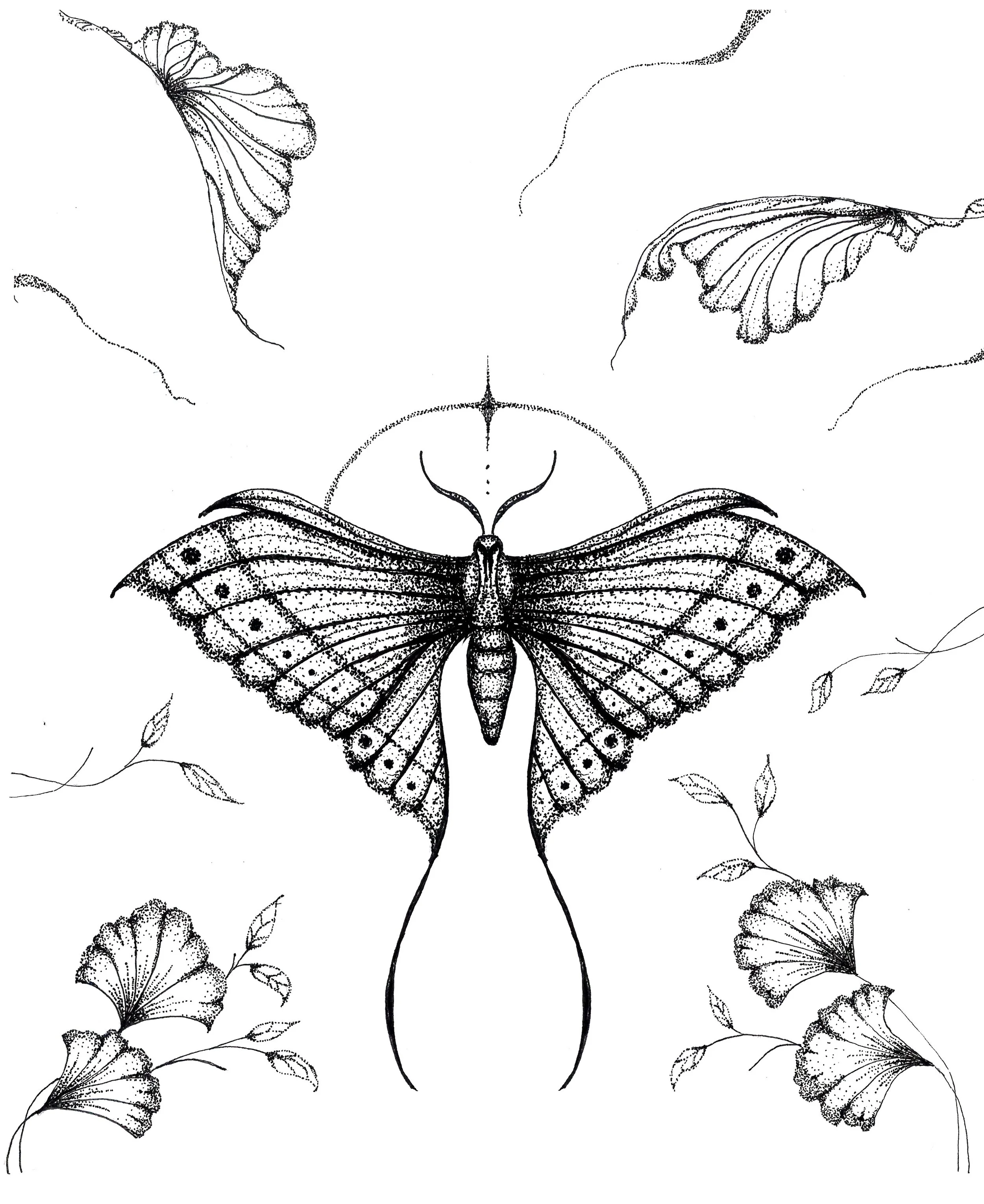 Butterfly.jpg