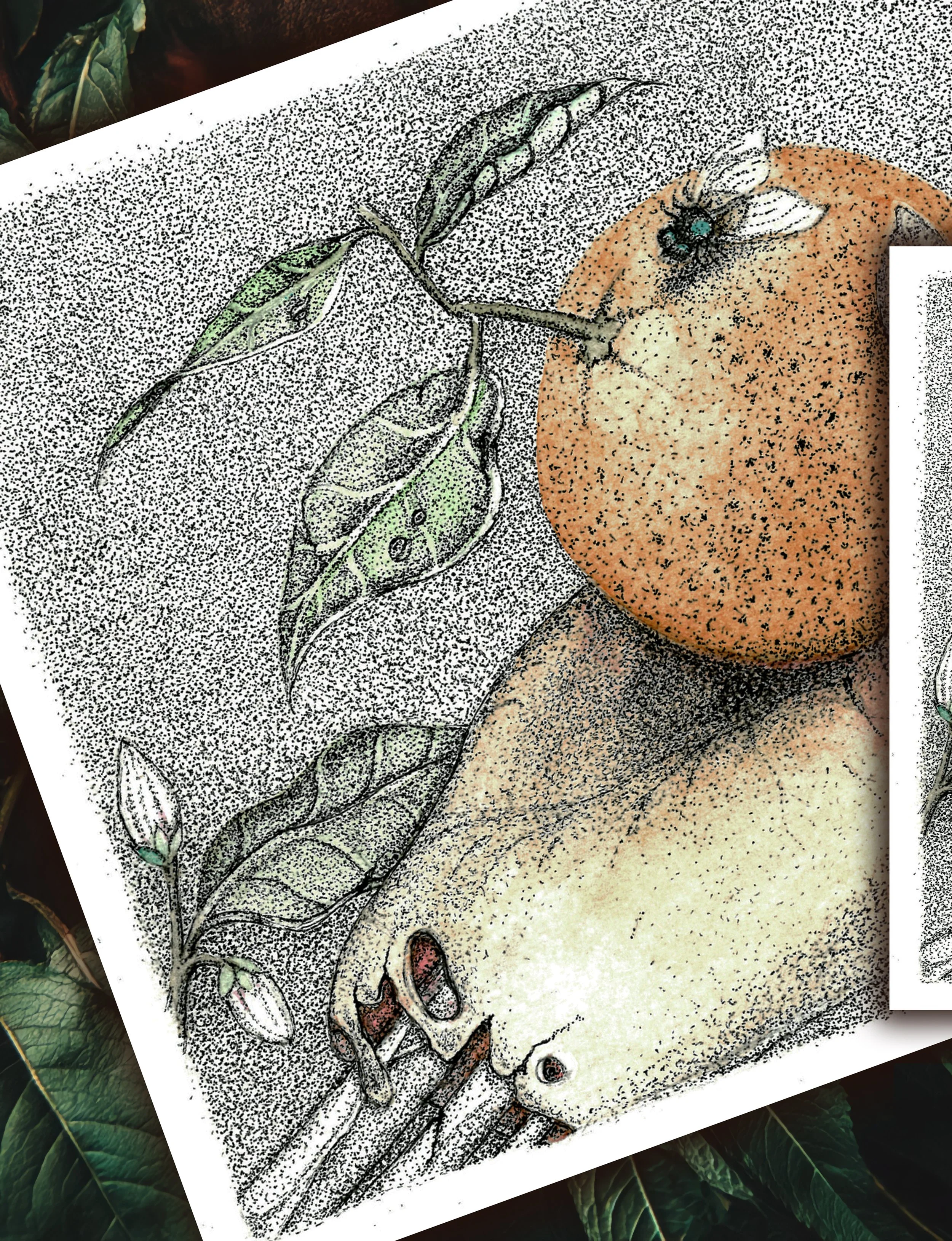 1_Hand&Orange.jpg