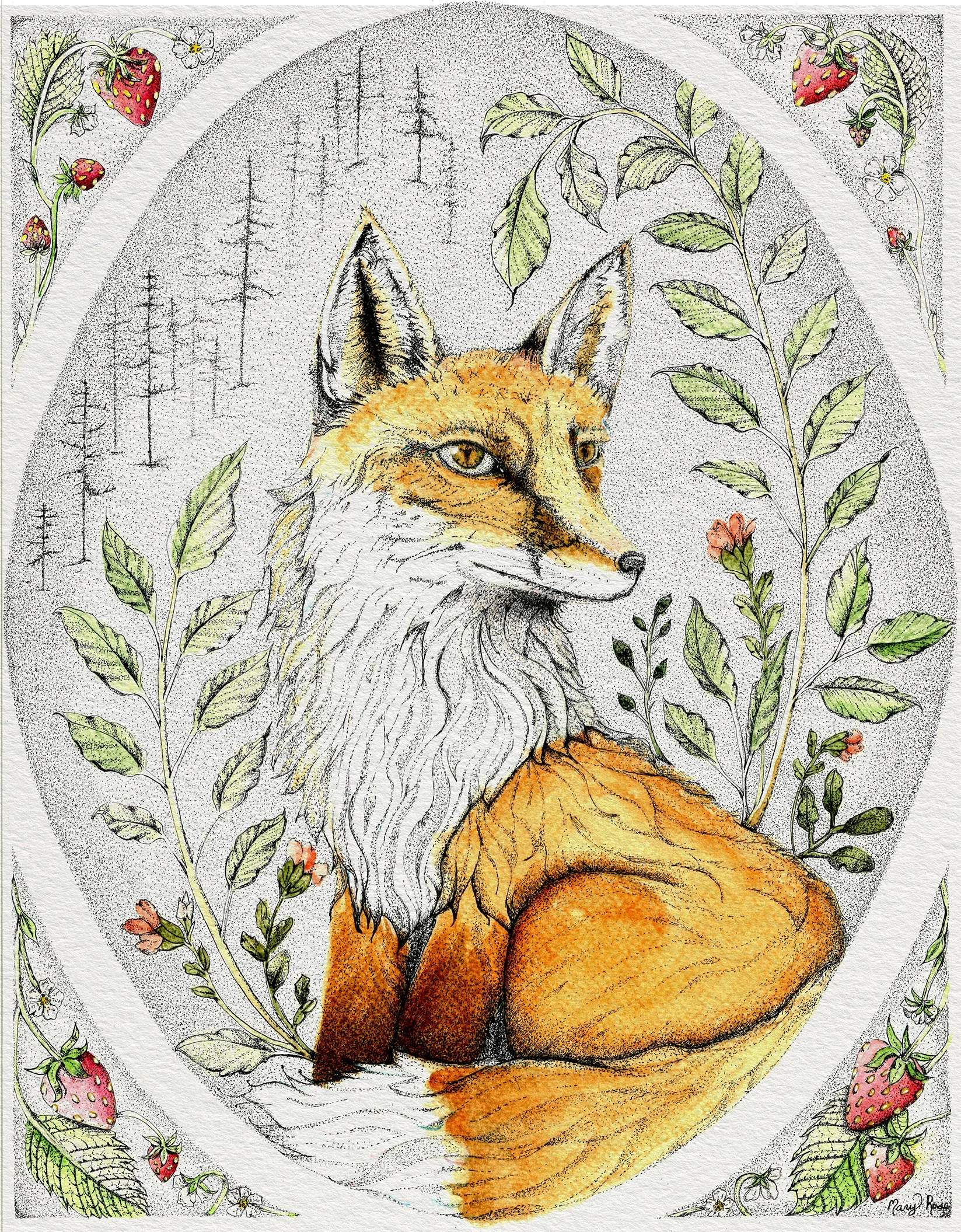 Fox
