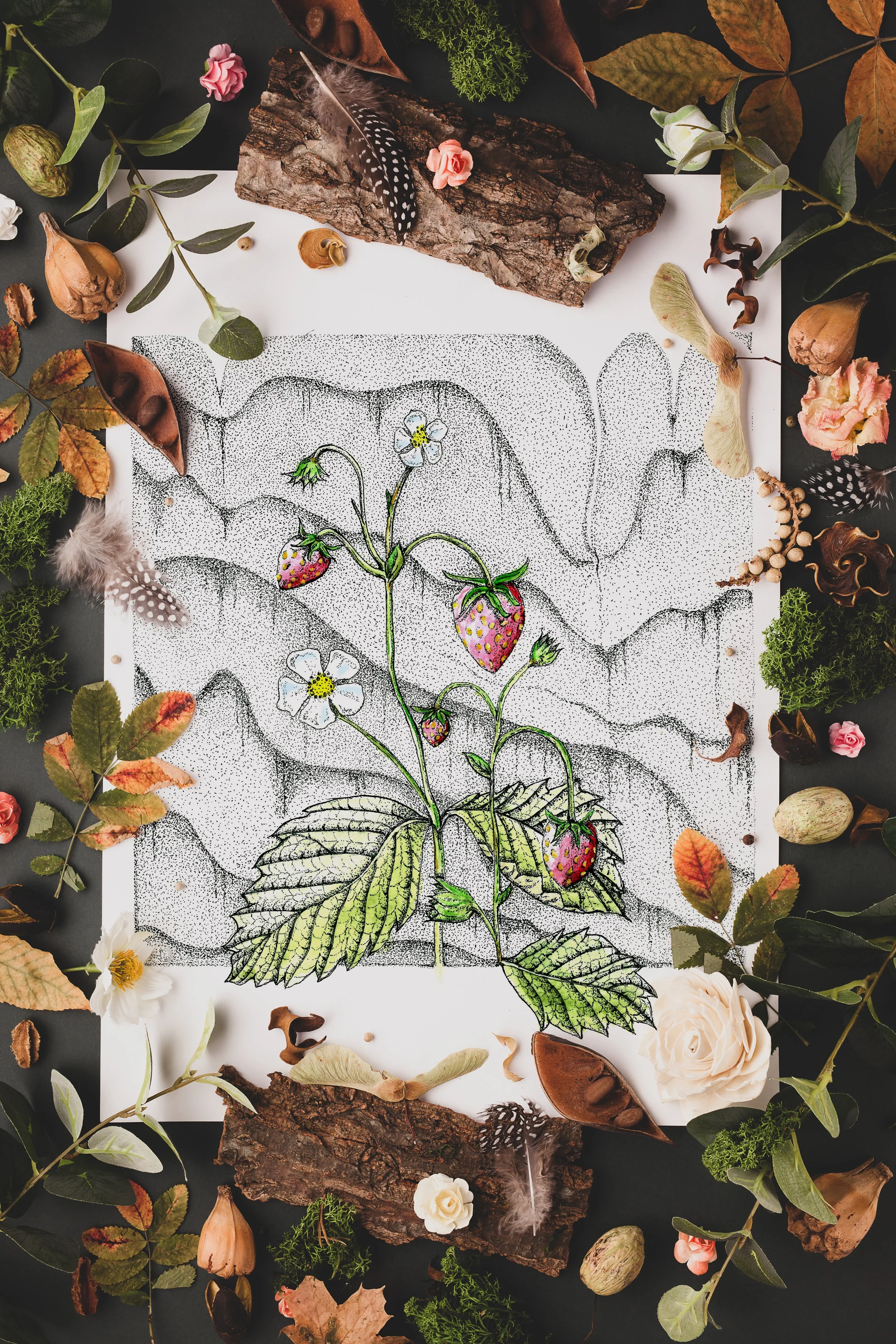 Strawberry Fields Original