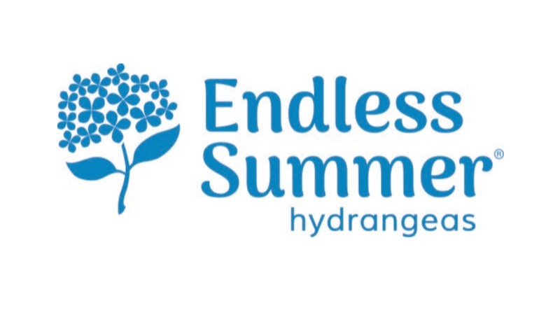 Logo for Endless Summer Hydrangeas featuring a blue hydrangea flower and text.