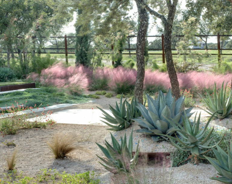 Muhly_Grass.png