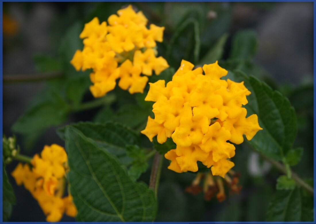 freepik__retouch__66004-min.jpeg,