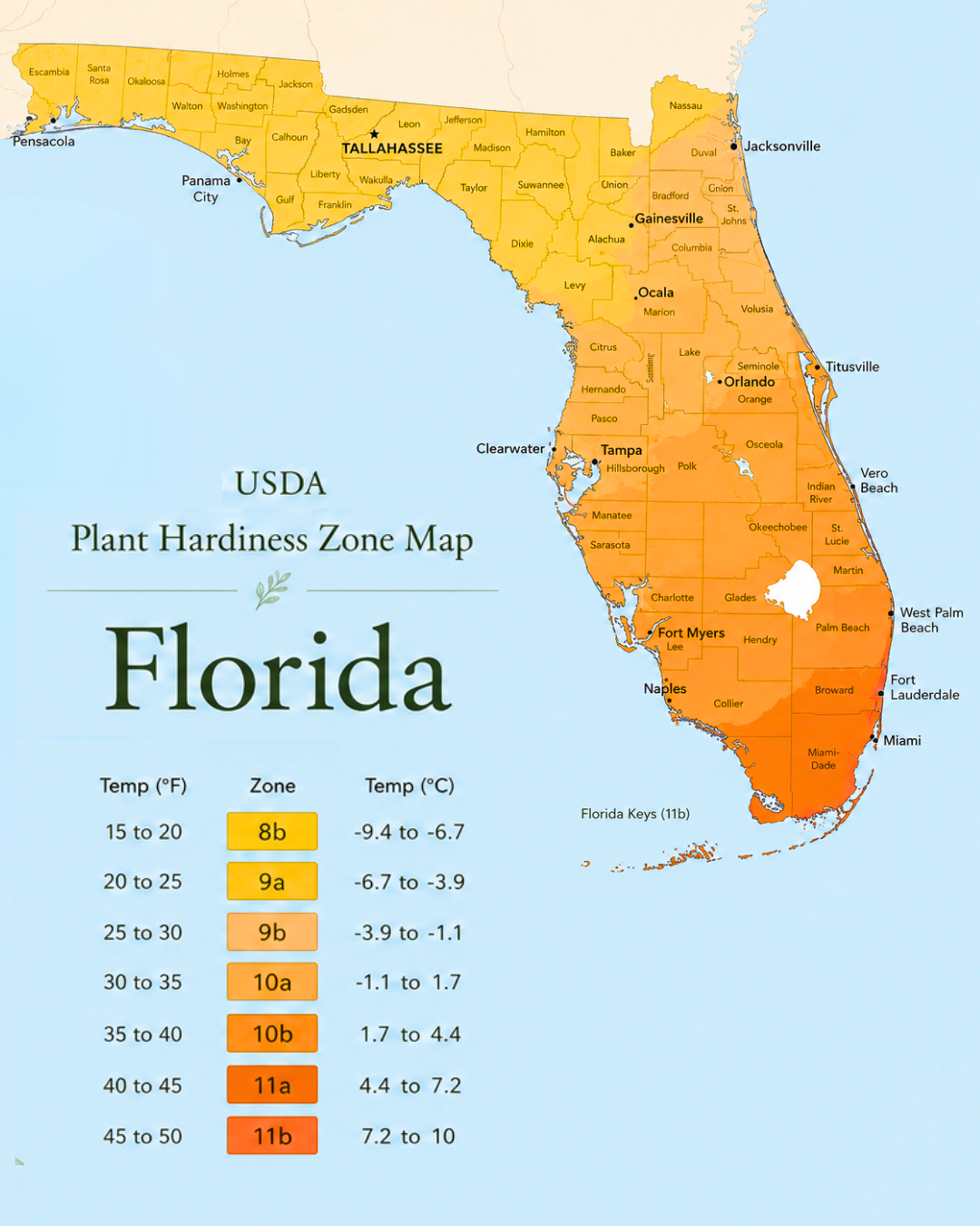 A map of Florida showing plant hardiness zones with color coding from yellow to red, indicating temperature ranges, and highlighting major cities such as Tallahassee, Jacksonville, Tampa, Orlando, Fort Myers, and Miami.