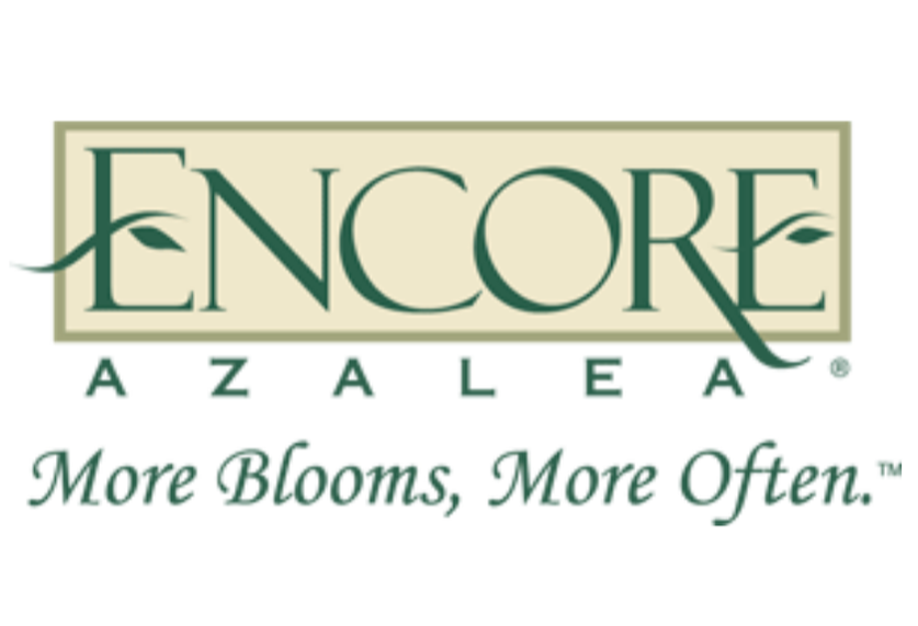 Logo for Encore Azalea with the tagline "More Blooms, More Often."