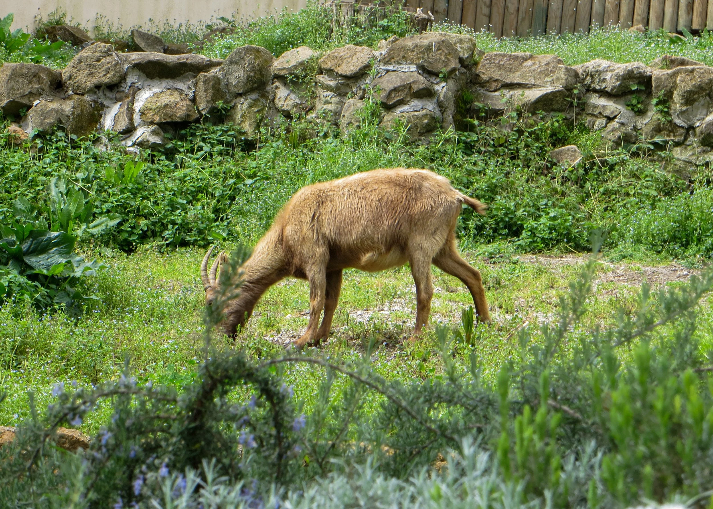 IMG_0285.jpg