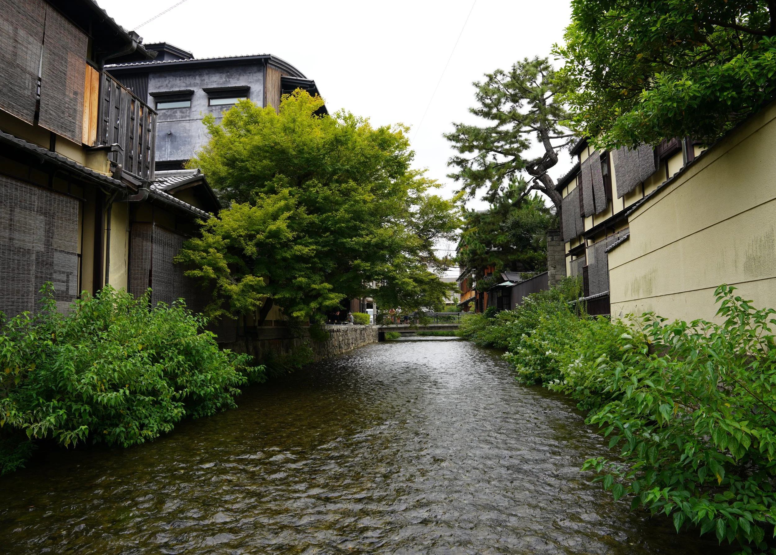 DSC00459.jpg