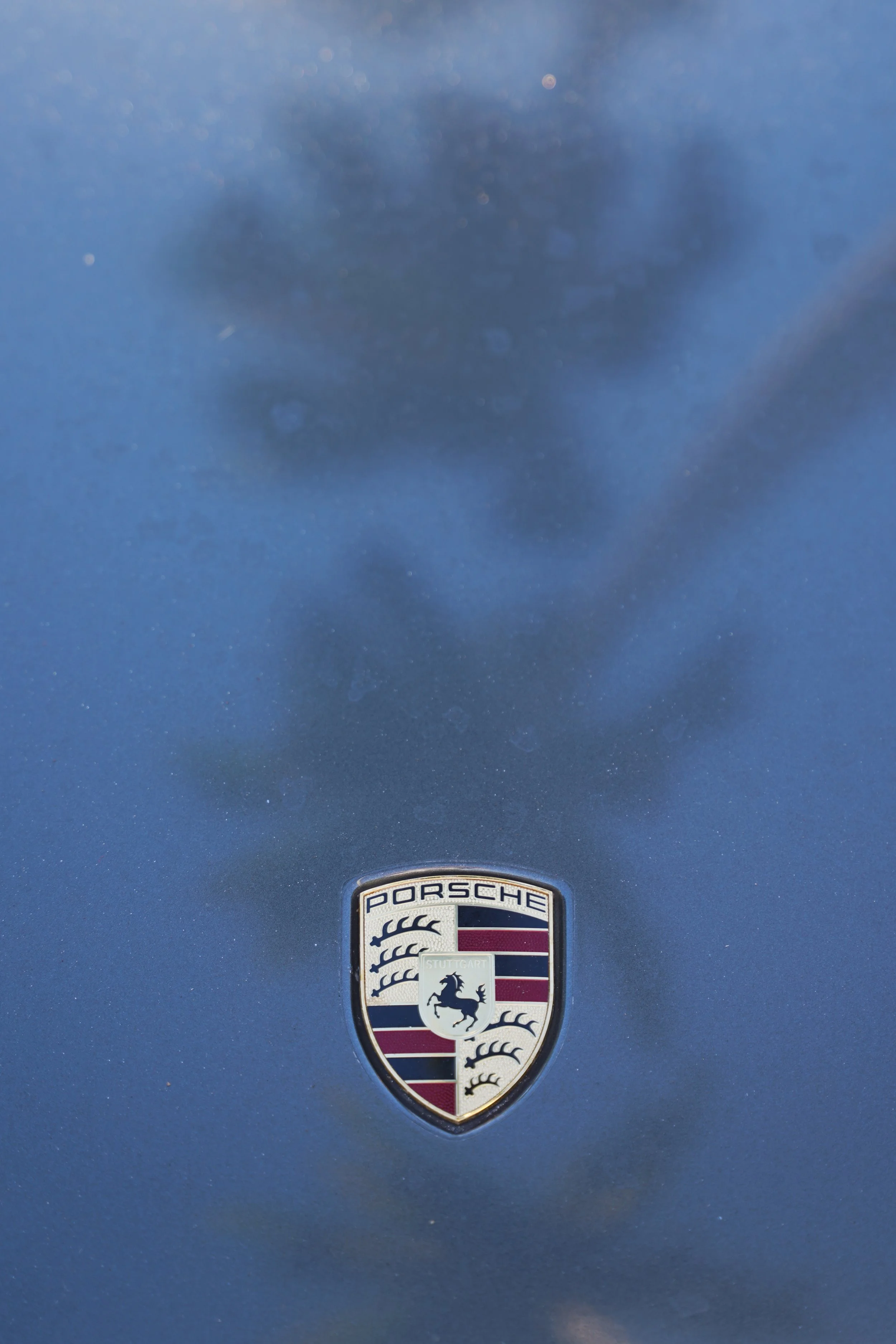 DSC00852.jpg