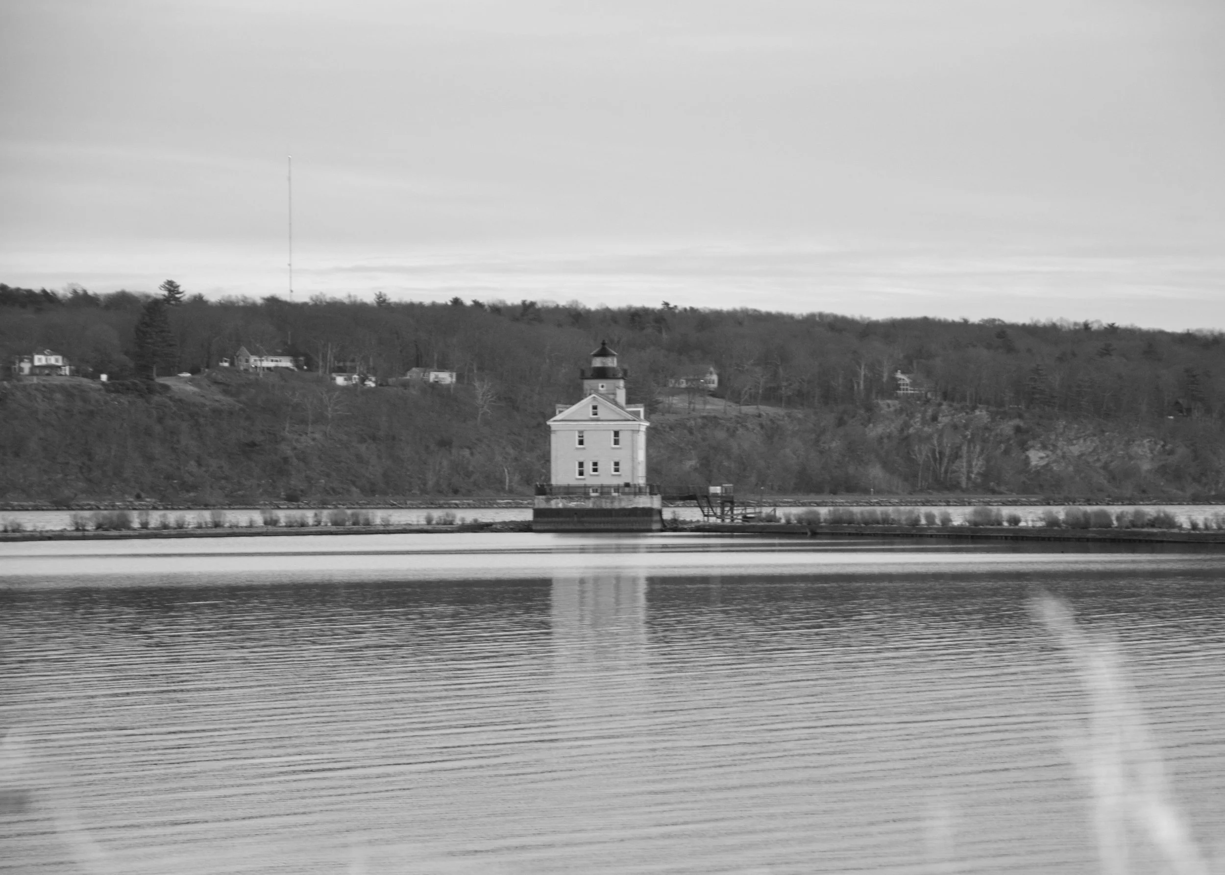 DSC_6504.jpg