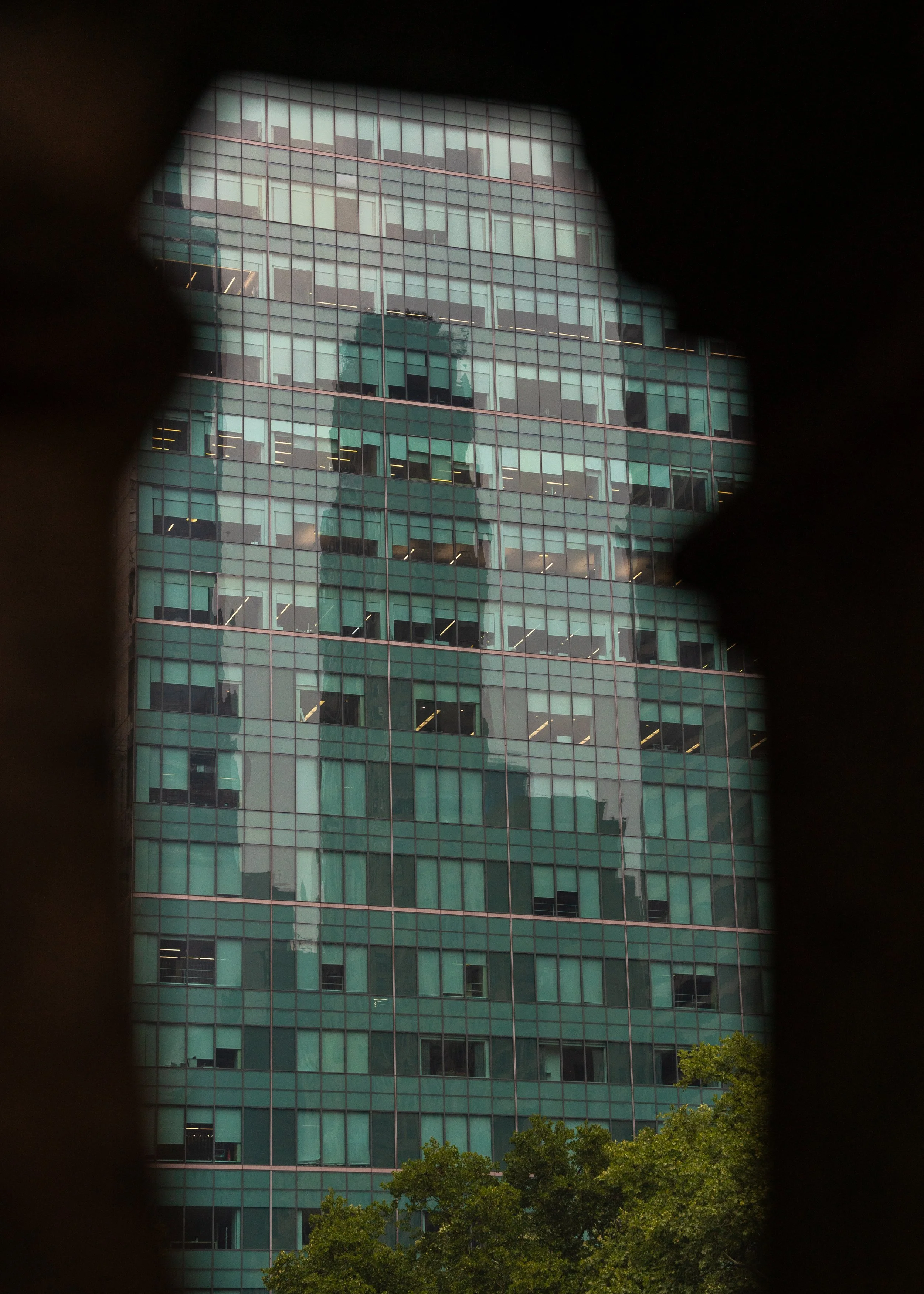 DSC02250.jpg