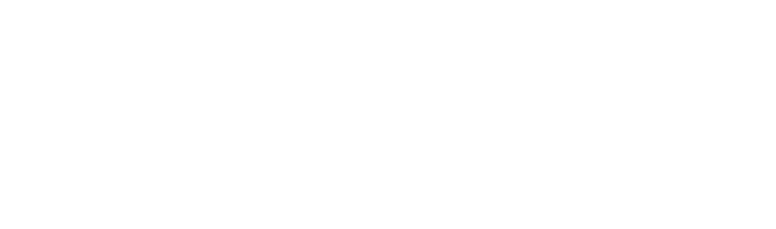 Asset 2.png