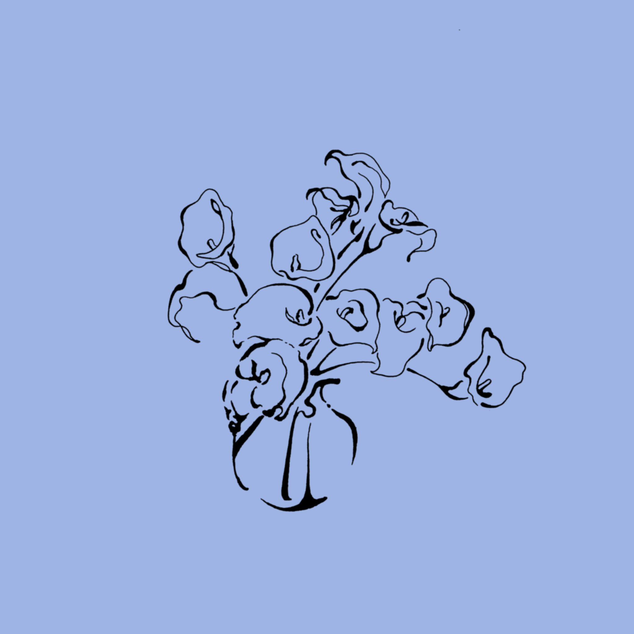 IMG_7179.png