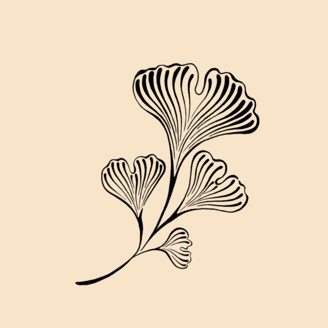 IMG_6885.png