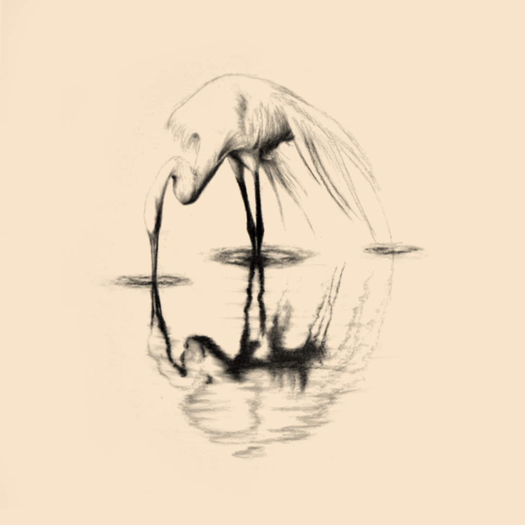 IMG_6889.png