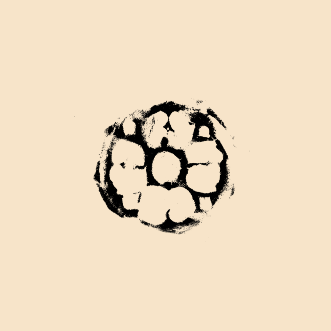IMG_6893.png