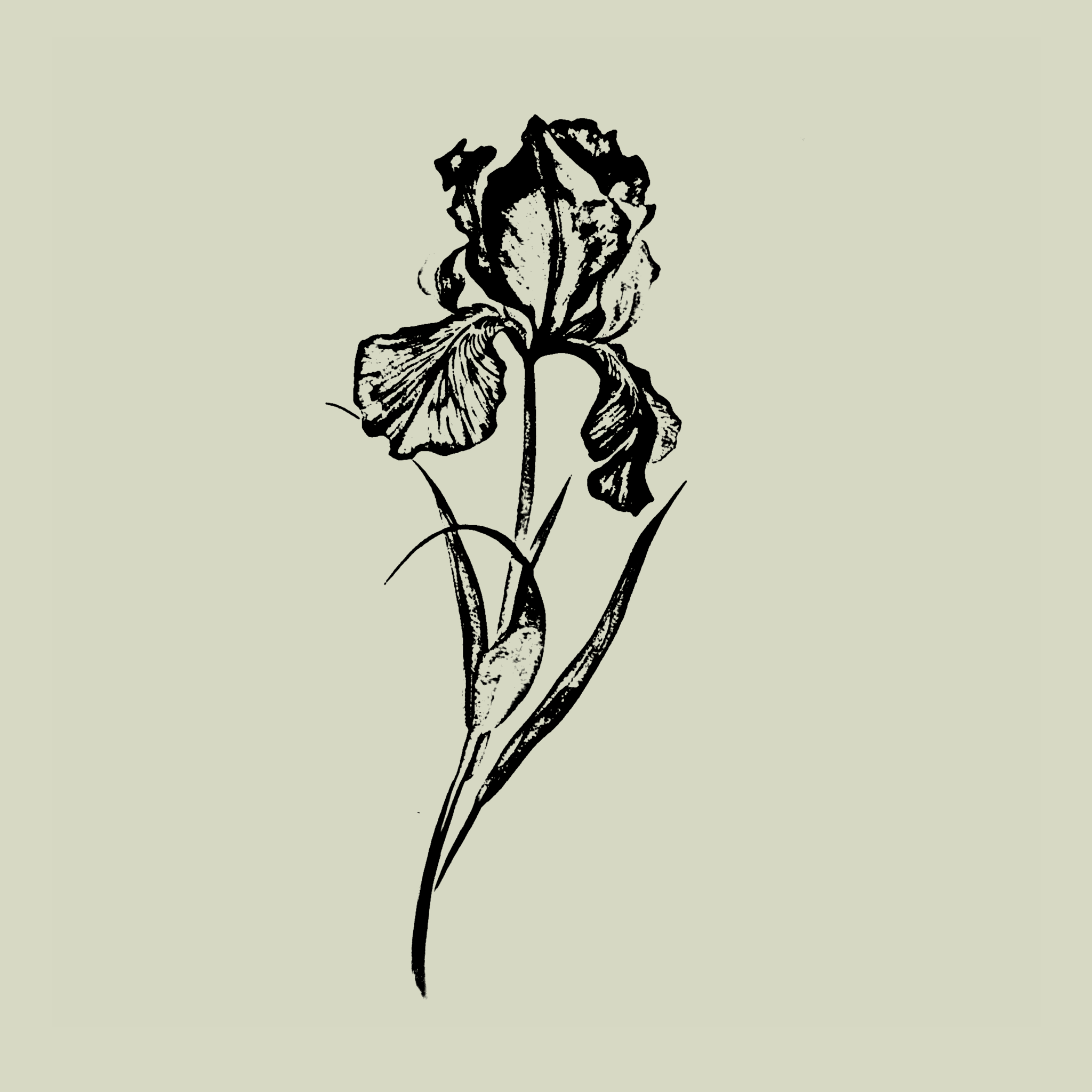 IMG_6538.PNG