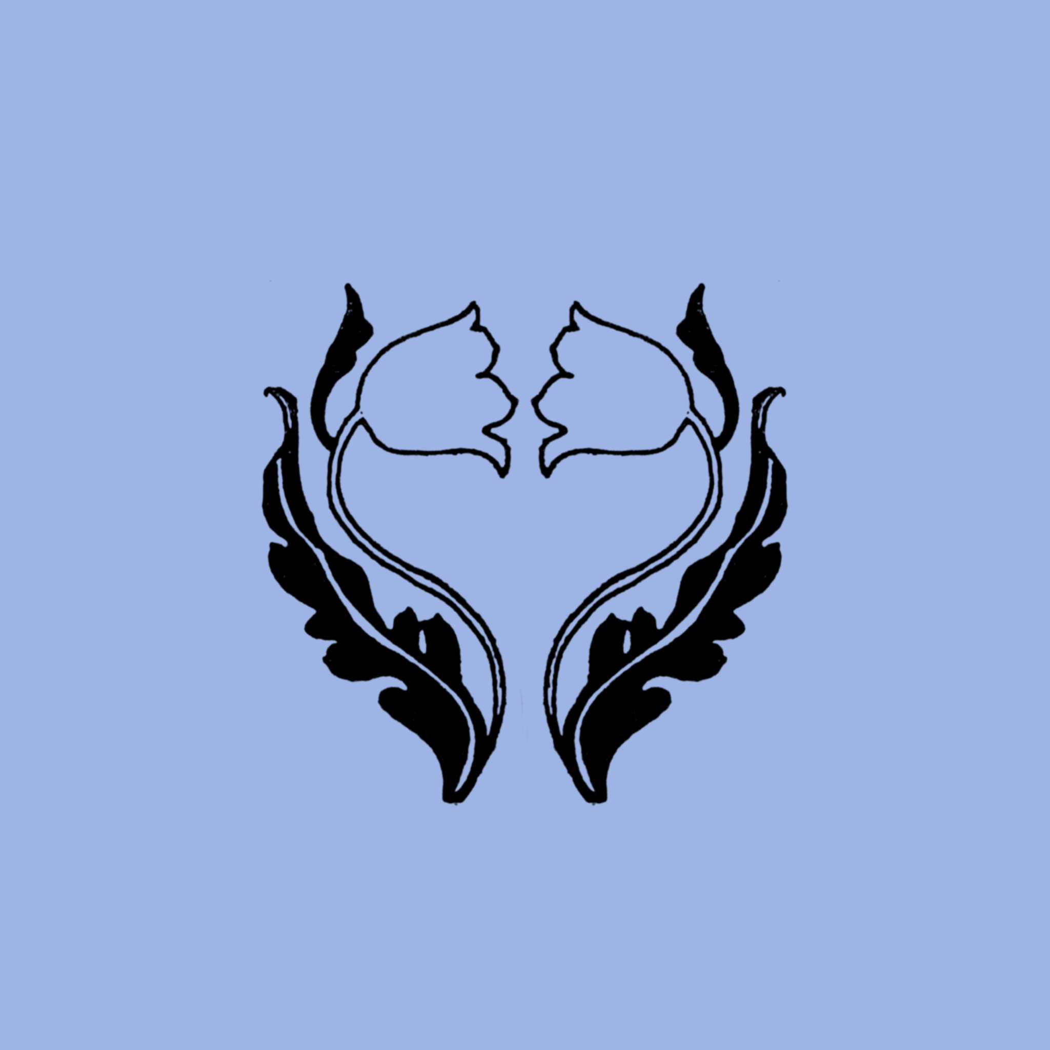 IMG_7176.png