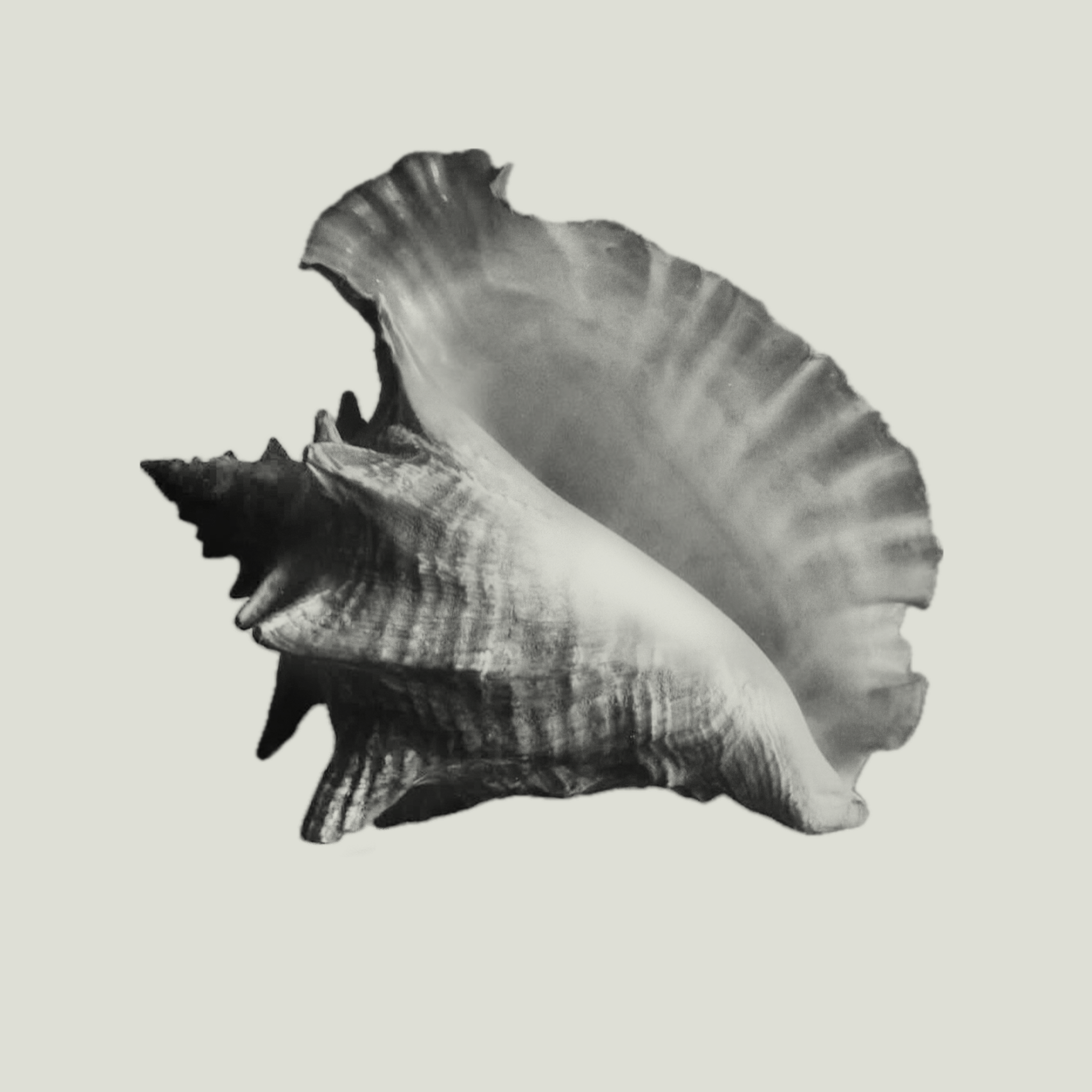Untitled_Artwork.png