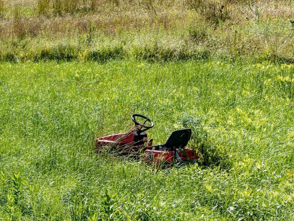 Lawn Mowing