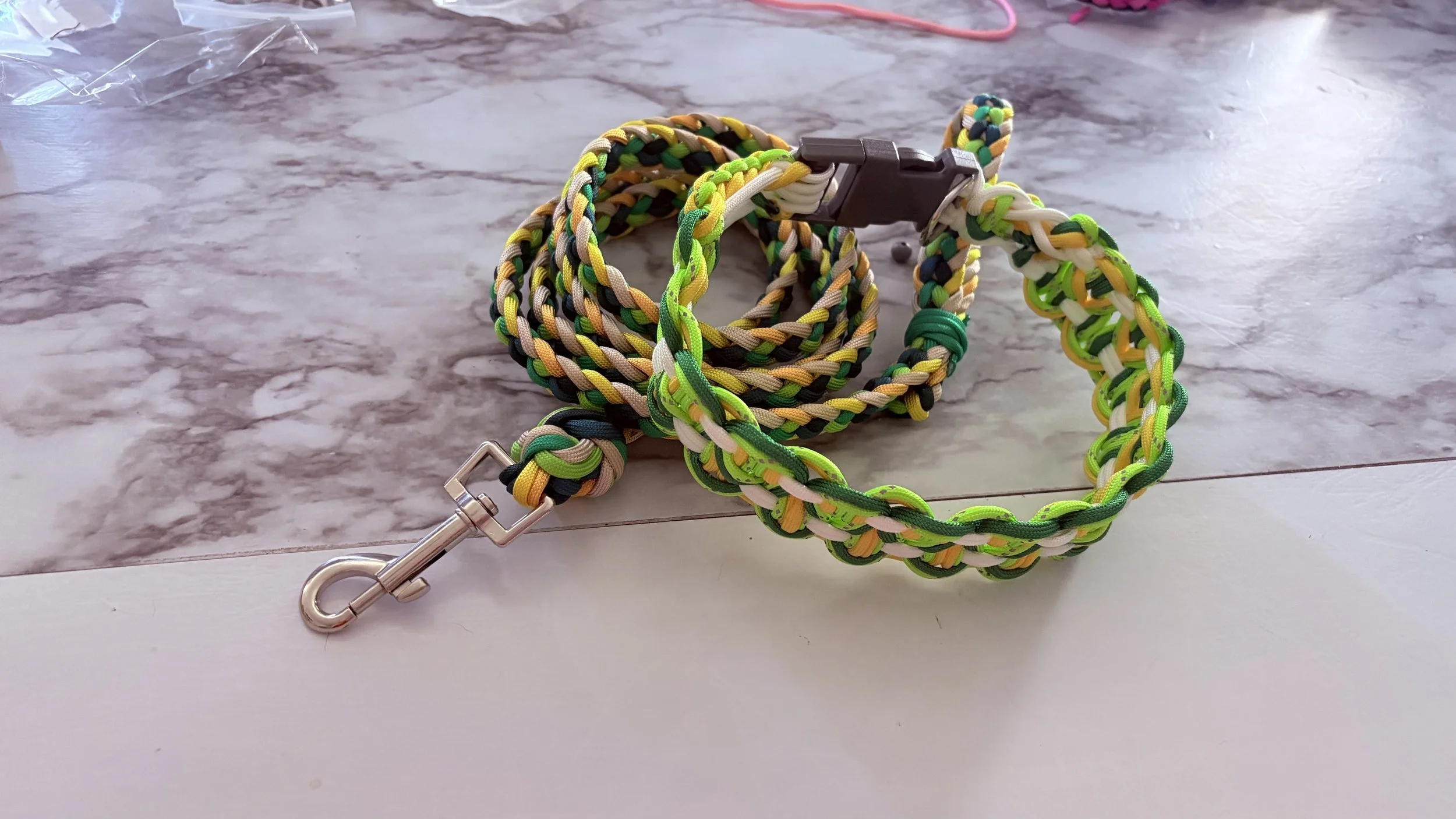 Matching collar and leash