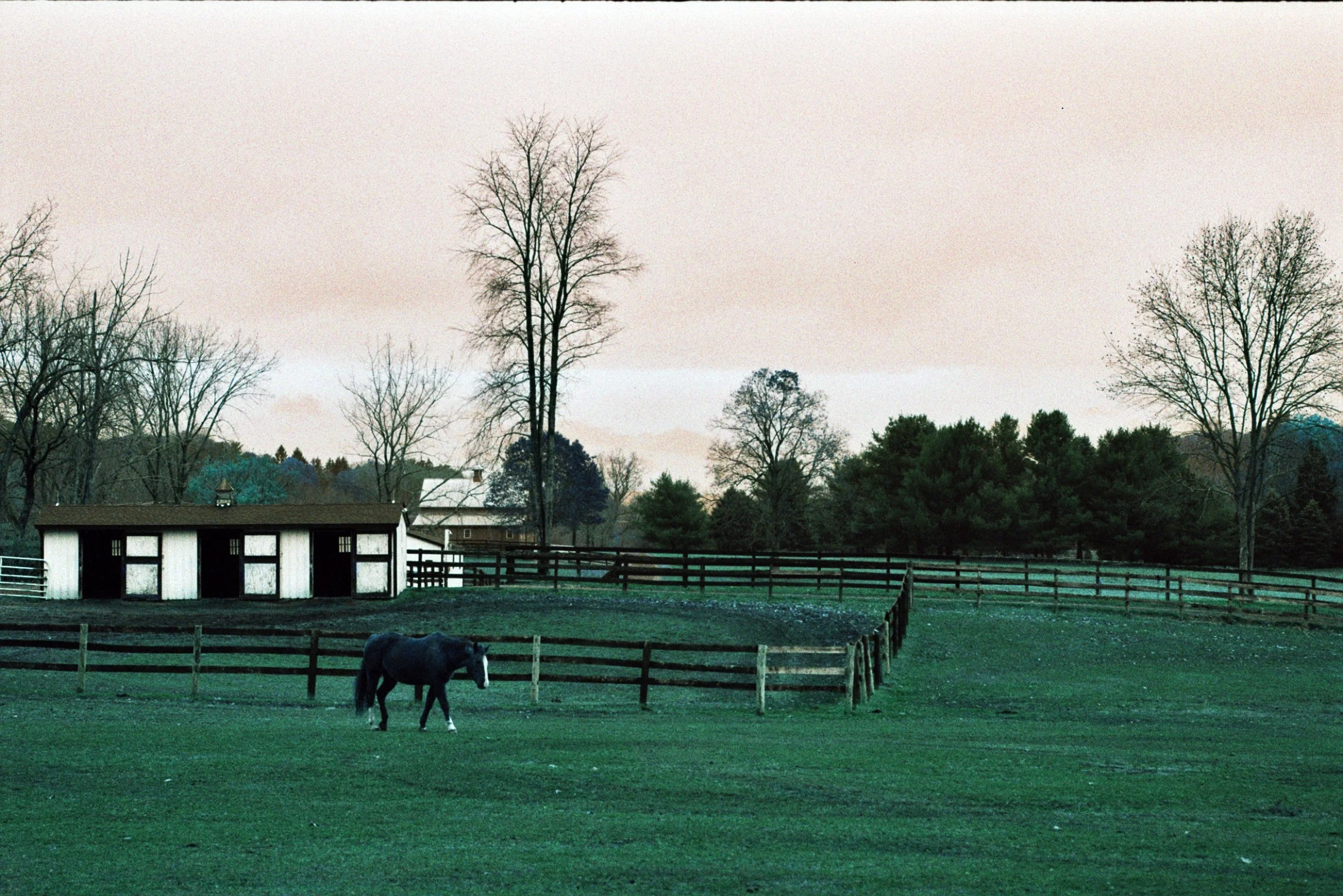 ---_00063.jpg