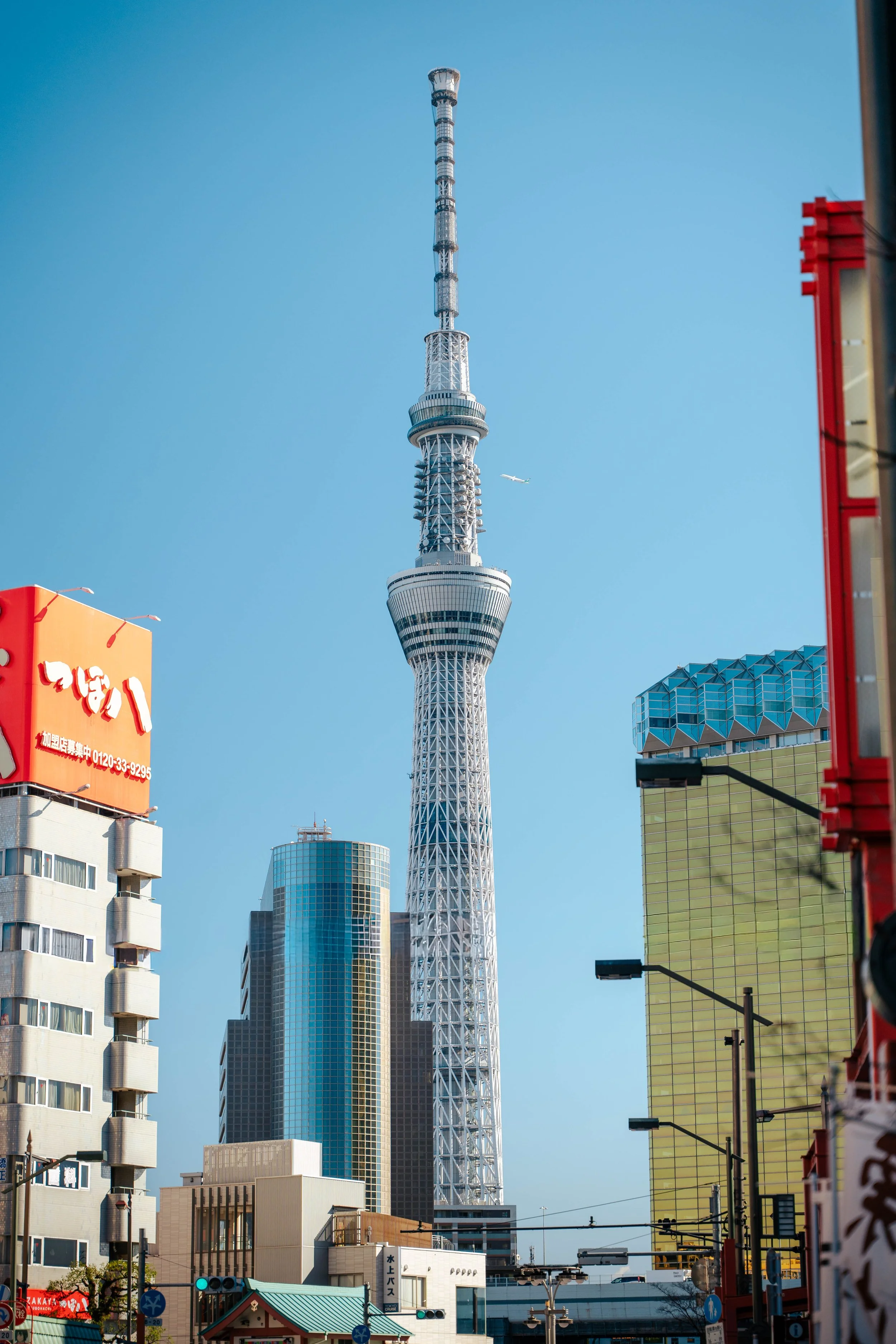 japan2026_-4.jpg