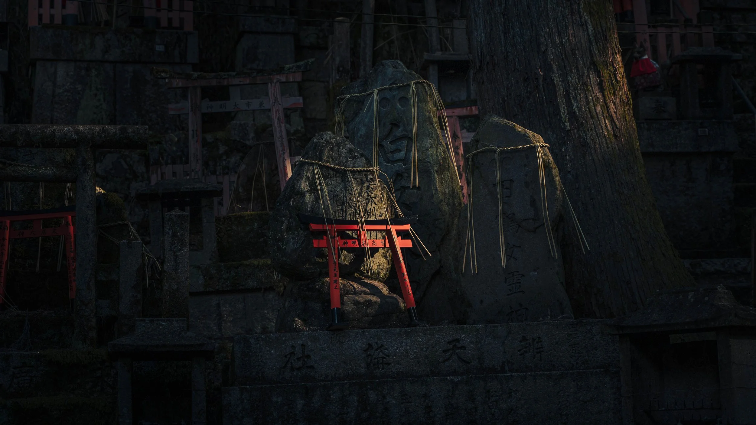 japan2026_-46.jpg