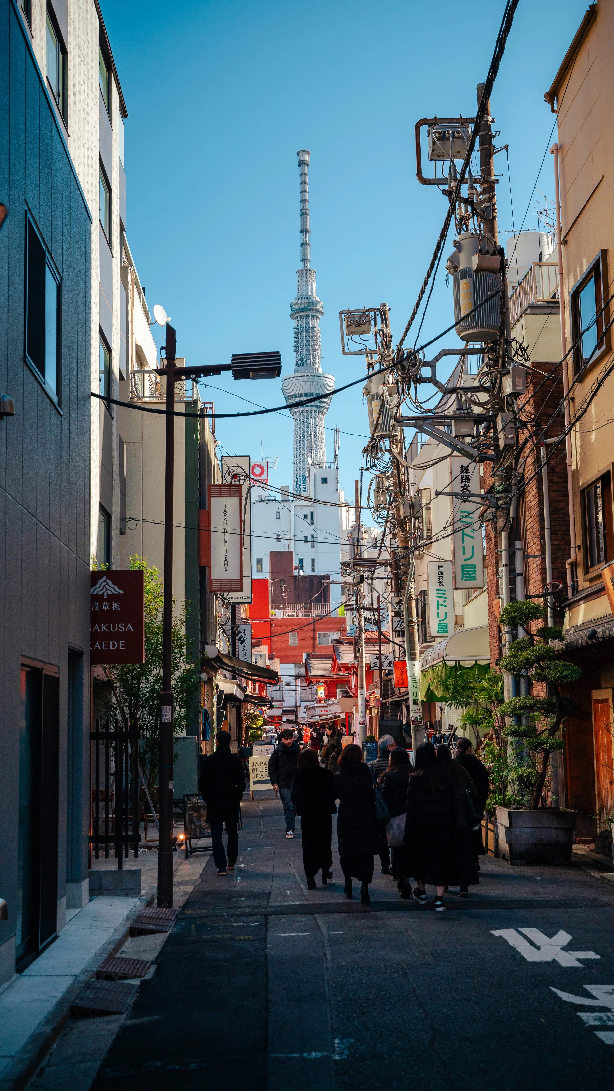 japan2026_-5.jpg