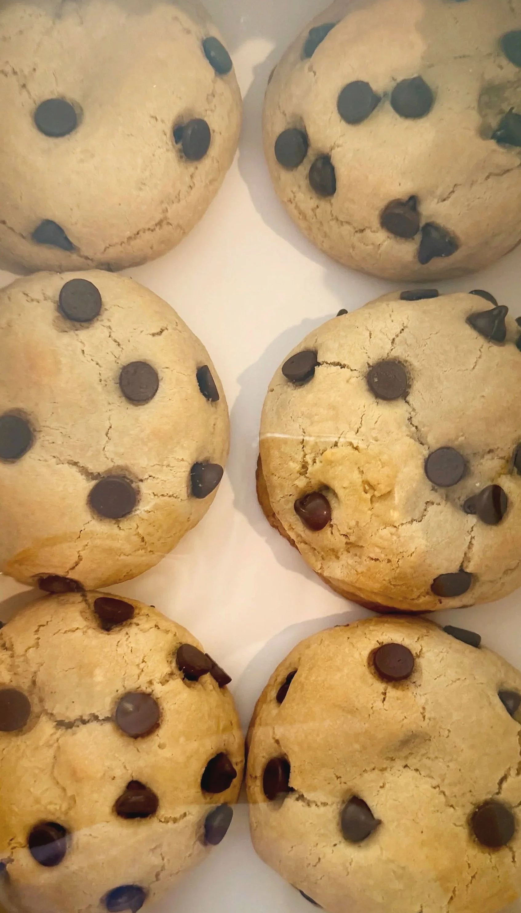 Chocolate Chip Cookie
--
Our signature cookie featuring a golden vanilla dough, crisp edges, and a soft, gooey center loaded with rich semi-sweet chocolate chips. Simple, timeless, and impossible to resist.