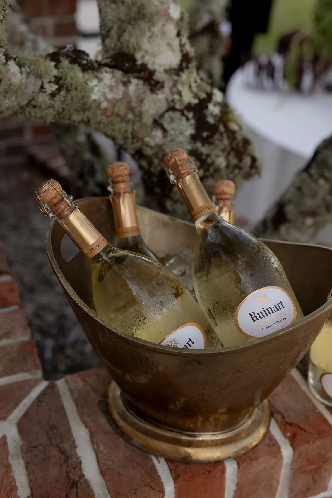 The Events Lounge_Christie & Santino,-The Valley Estate Wedding-31.JPG