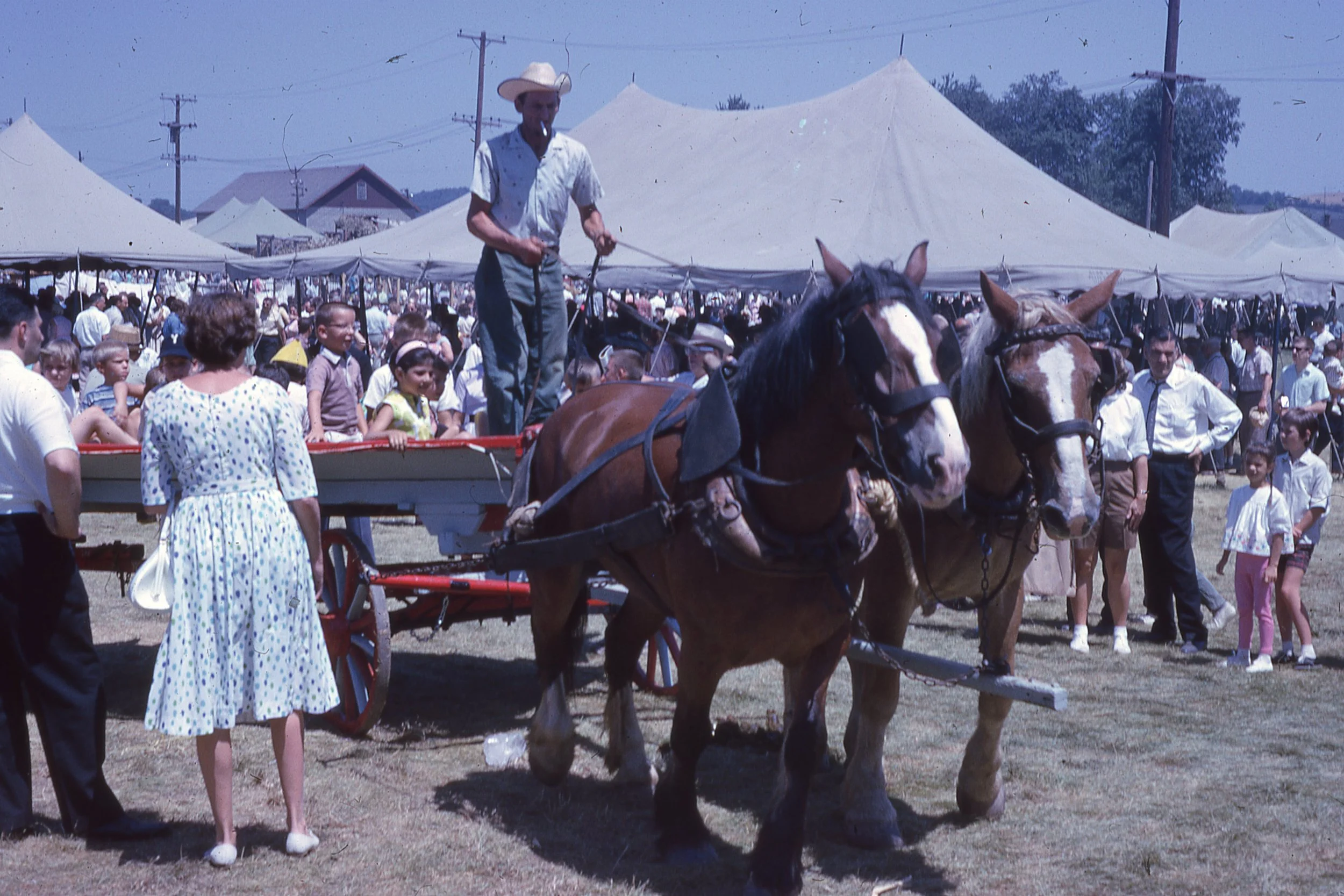 Man driving horse-drawn wagon full of children among crowd of tents and people on Festival grounds.