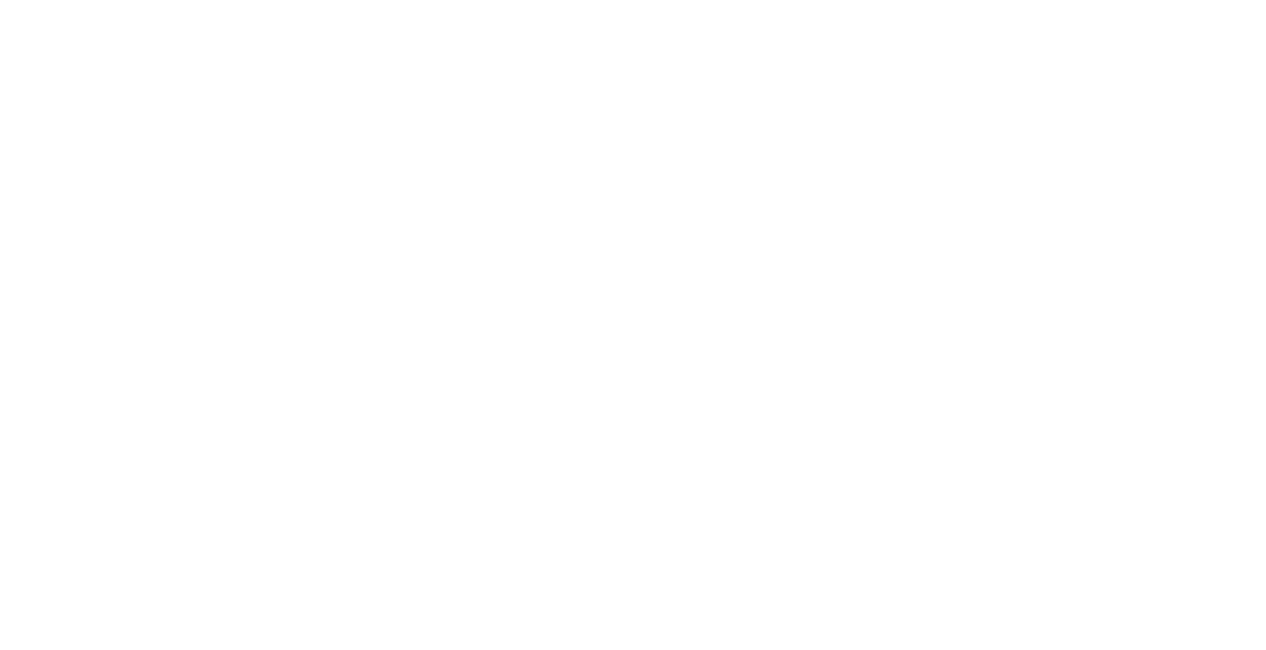 The Cleveland Wellness House