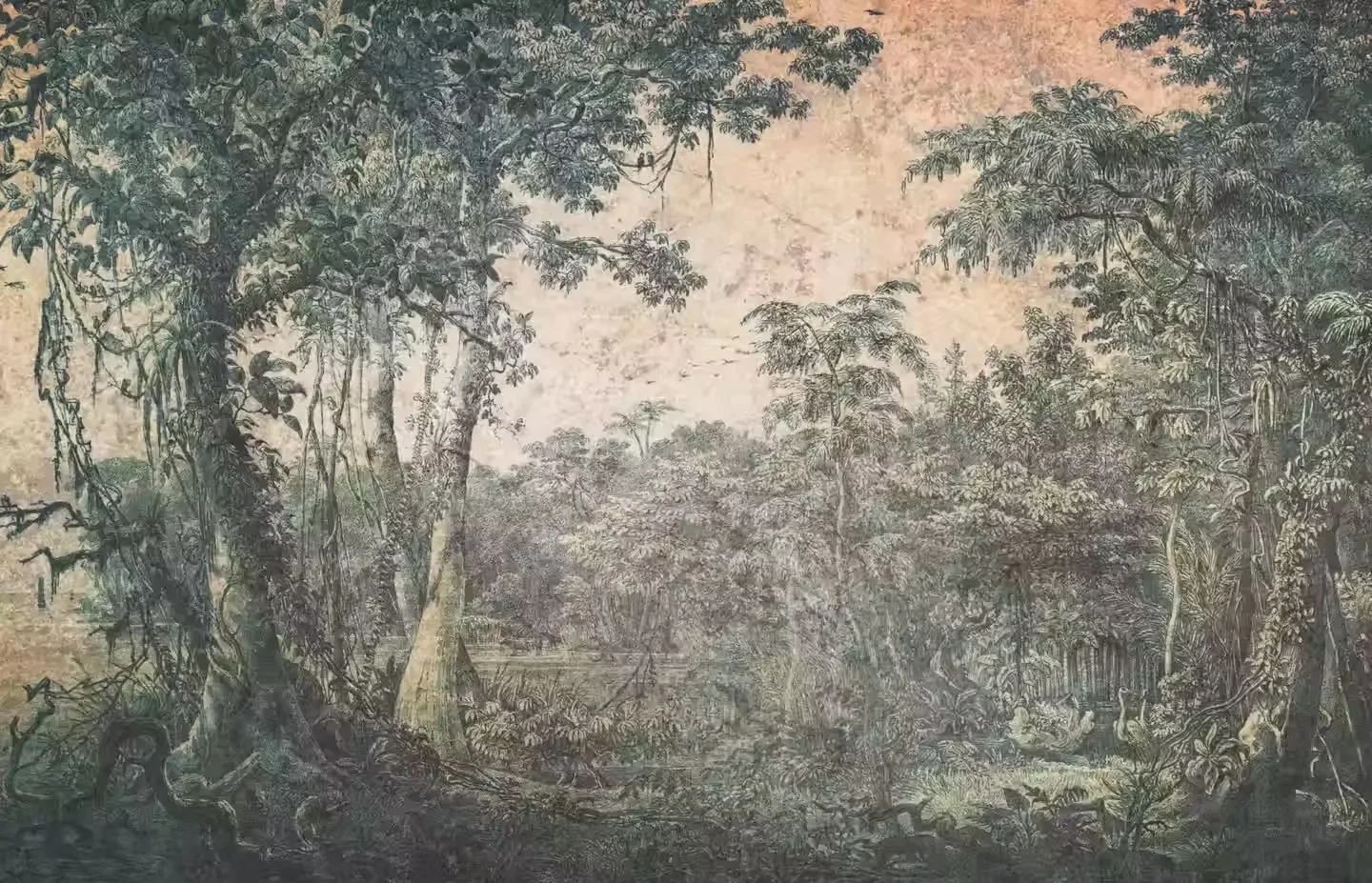 A detailed black-and-white drawing of a dense jungle scene with large trees, lush foliage, and two flamingos standing in a clearing.