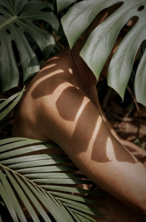 A person's arm partially covered by large green tropical leaves, with sunlight creating shadow patterns on the skin.