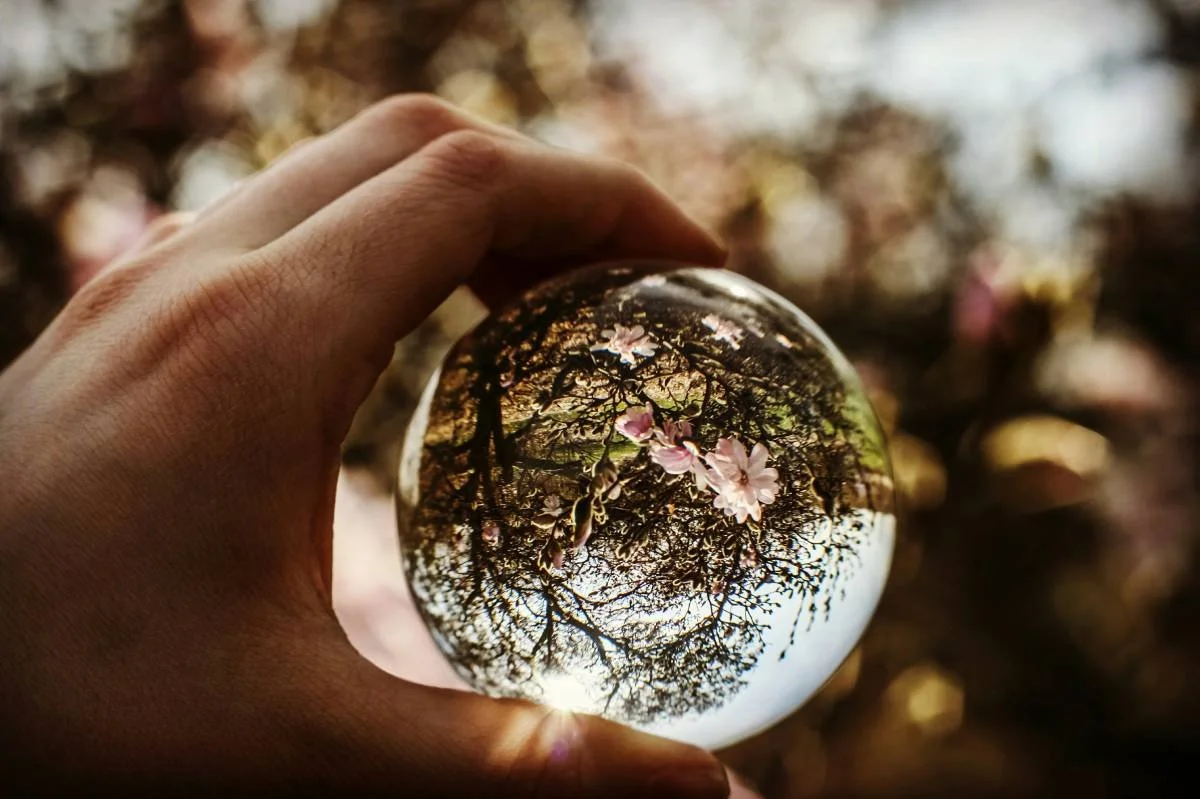 Een hand houdt een glazen bol die een reflectie van een boom met roze bloemen en de sky bevat.