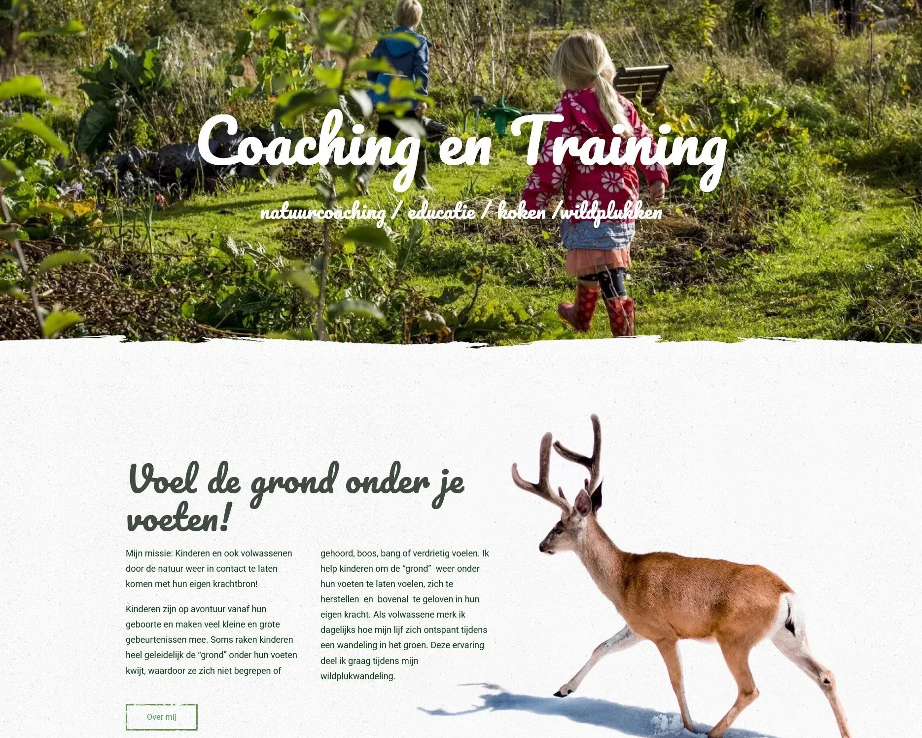 screenshot website Willy Boogaard