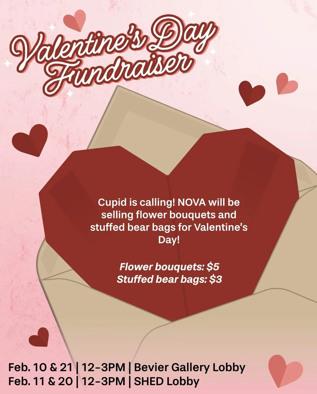Valentine's Day Social Media Fundraiser Post