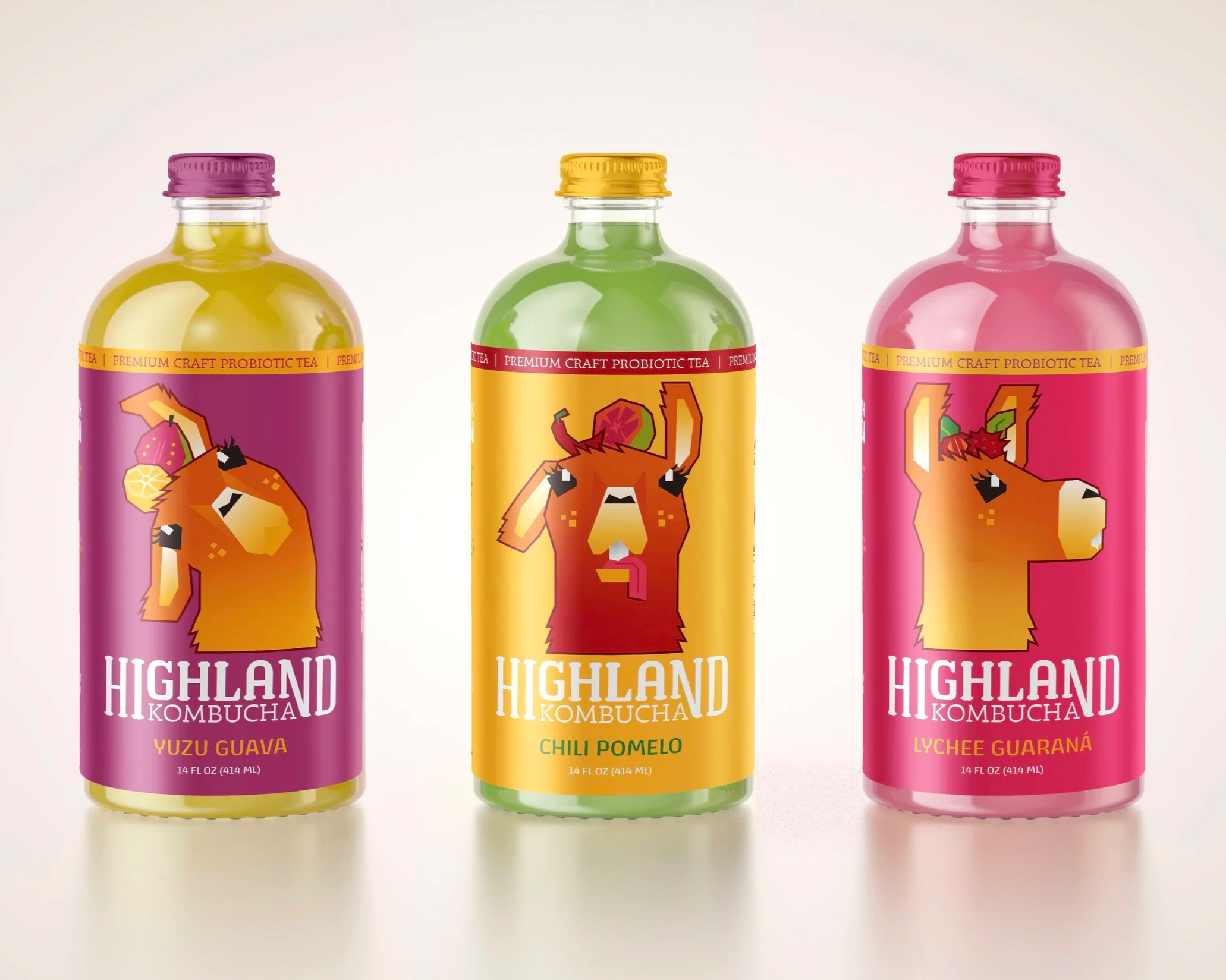 Highland Kombucha Product Design