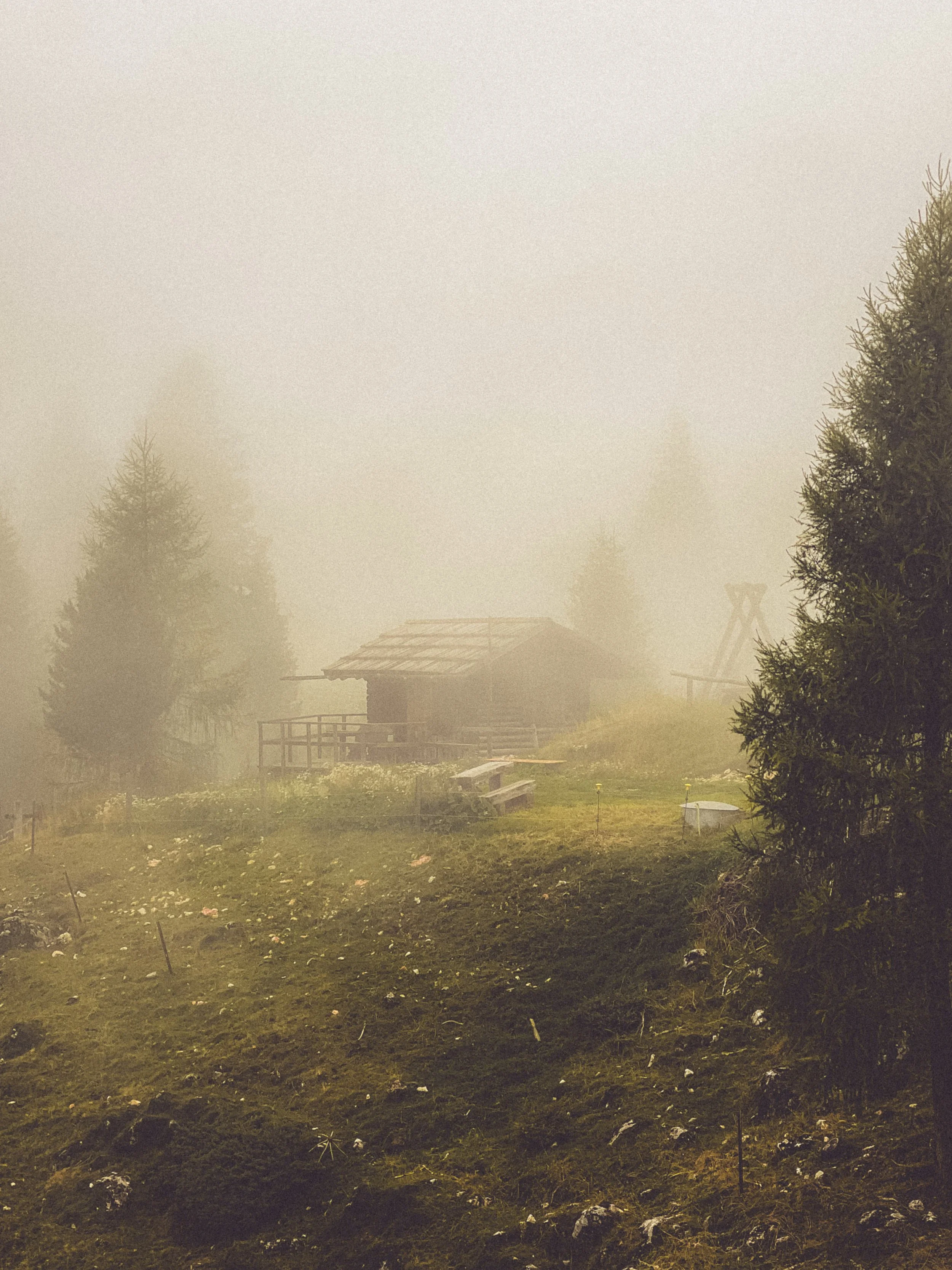 A foggy rural landscape with trees, a small house with a balcony, and some scattered objects on the ground.