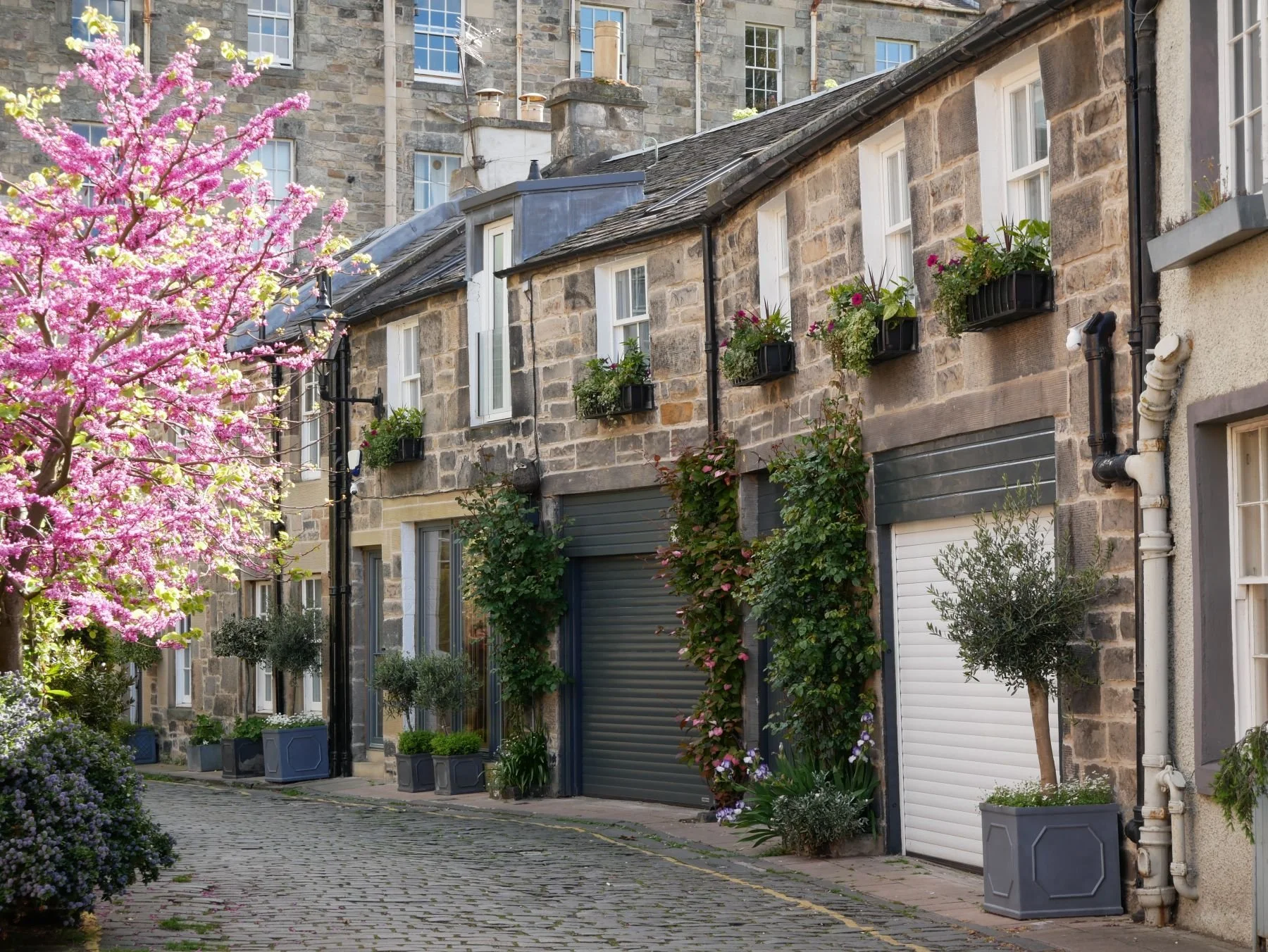 A cobblestone street lined with multi-story stone houses. The houses have windows with flower boxes and shutters, and there are potted plants and trees along the sidewalk. A pink blooming tree is visible on the left side of the image.