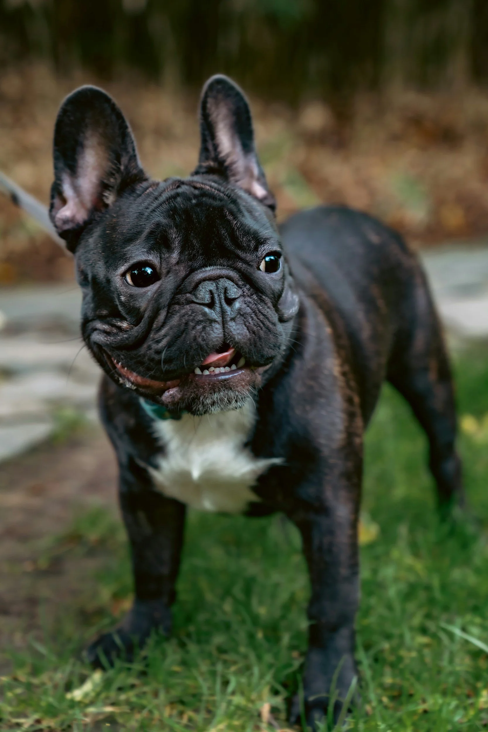 unsplash-image-kQ9tq3DPF0c.jpg