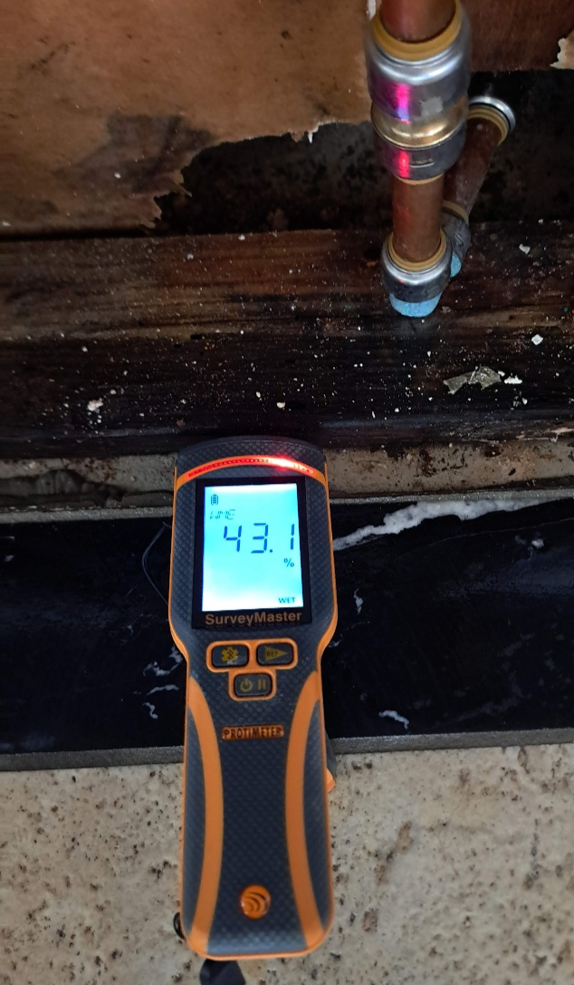 A moisture meter shows 43.1% moisture content, placed in front of plumbing pipes on a wall and a wooden surface.