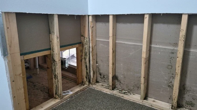 Interior wall with exposed wooden studs, mold damage, and a hole near the floor showing pipes behind the wall.