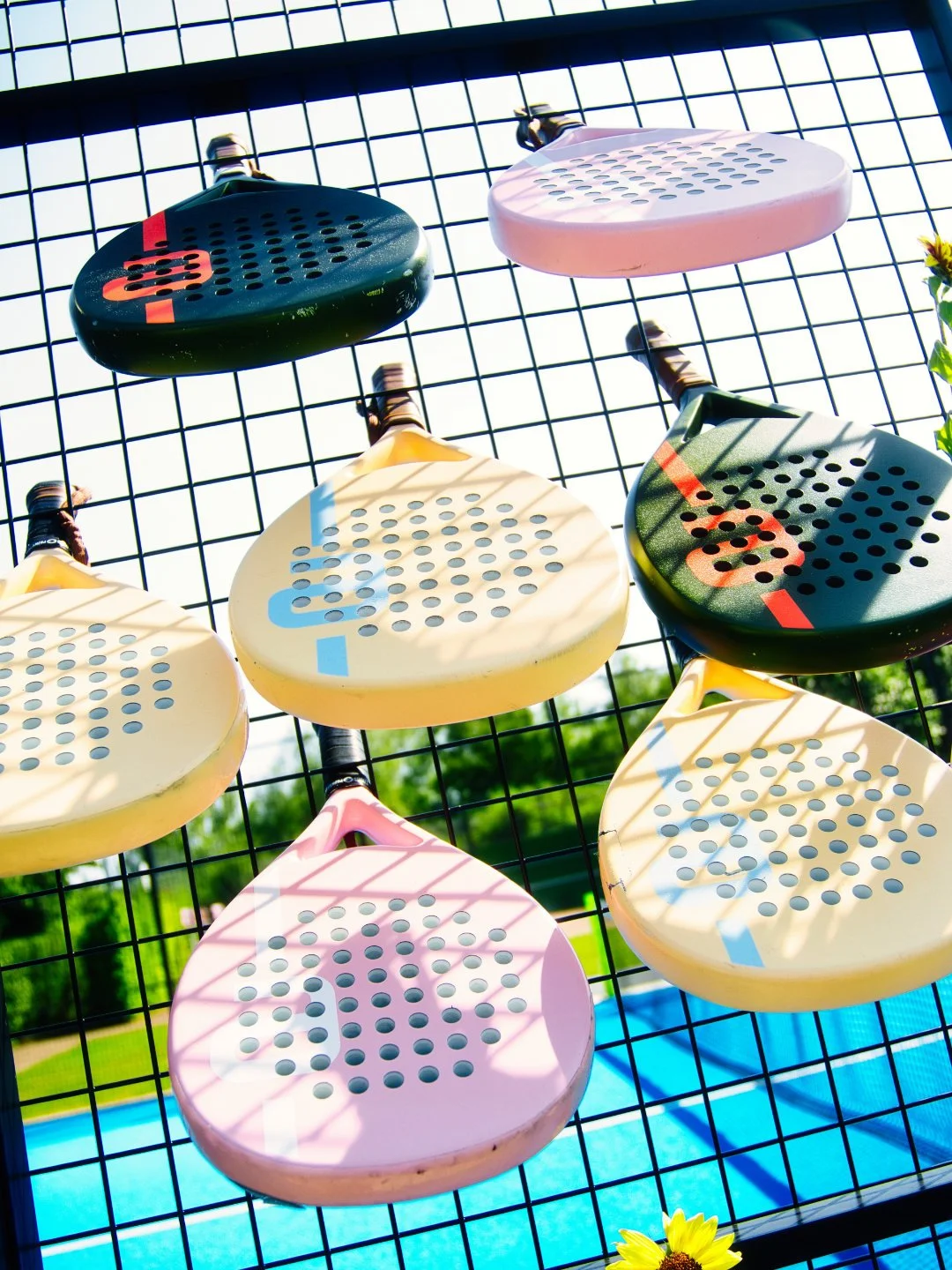 Sechs colorful Padelschläger variierend in Farben hängen an einem schwarzen Gitter