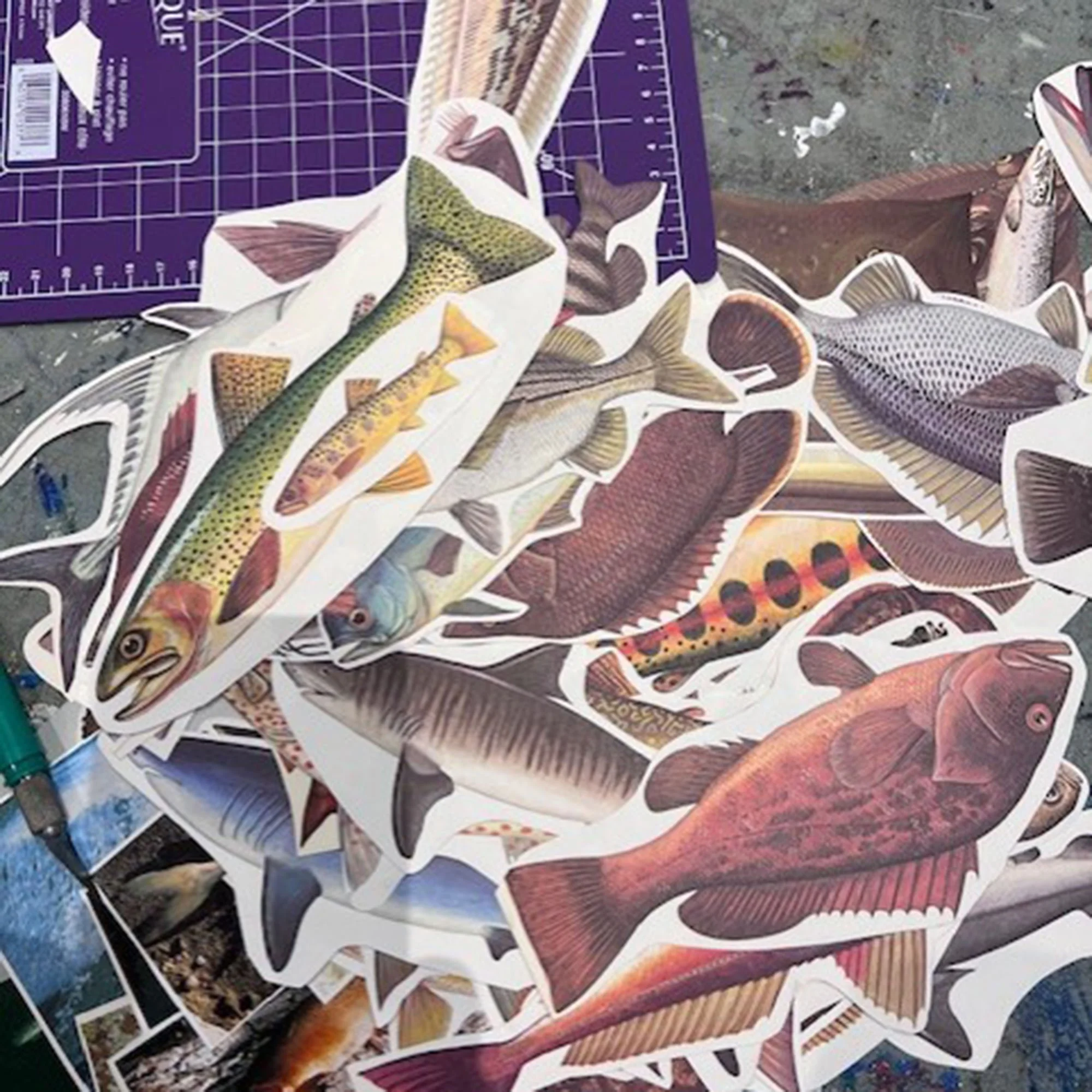 Images cut out of magazines for a collage